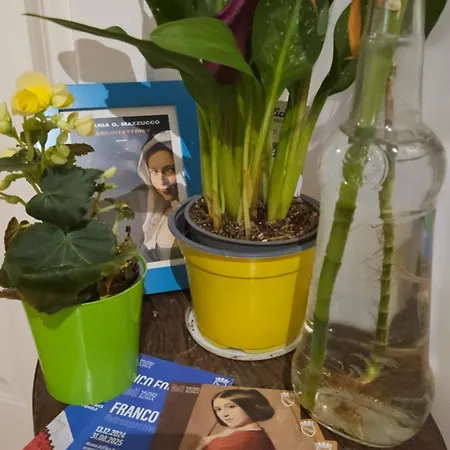 Ulysses In Bed and Breakfast Ρώμη