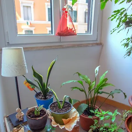 住宿加早餐酒店 罗马尤利西斯旅馆