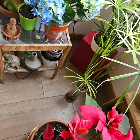 Alojamento de Acomodação e Pequeno-almoço Ulysses In Roma