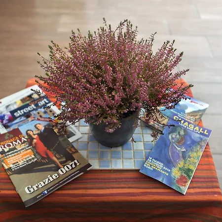 Alojamento de Acomodação e Pequeno-almoço Ulysses In 4*