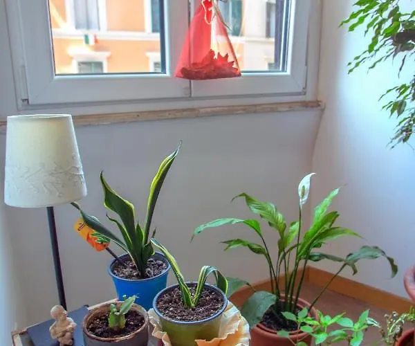 Bed & Breakfast Ulysses In