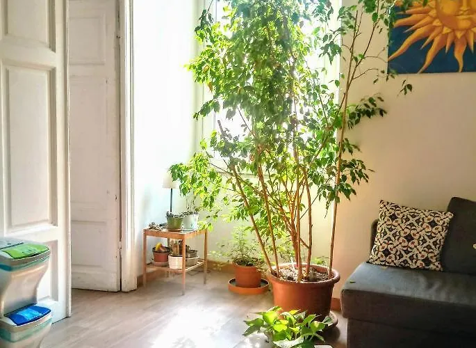 Bed & Breakfast Ulysses In 4*