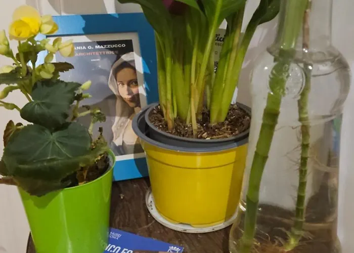 Ulysses In Bed & Breakfast Rom