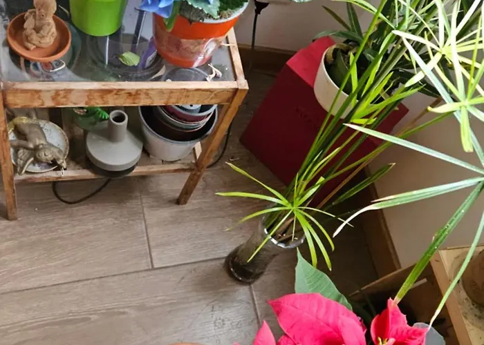 Bed & Breakfast Ulysses In Rom